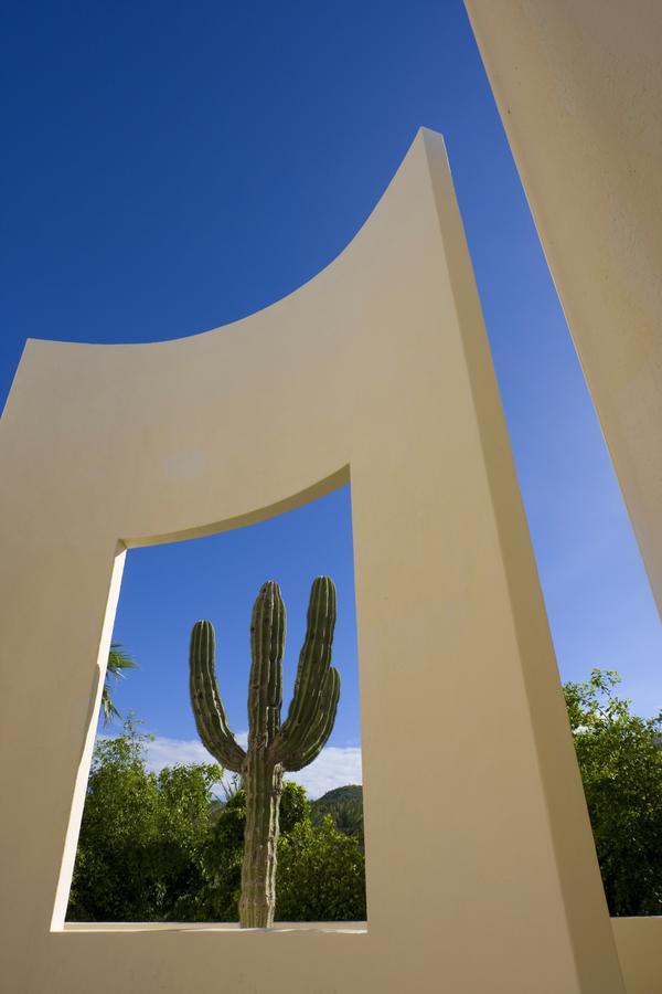 The Towers At Pueblo Bonito Pacifica (Adults Only) Hotel Cabo San Lucas Exterior photo