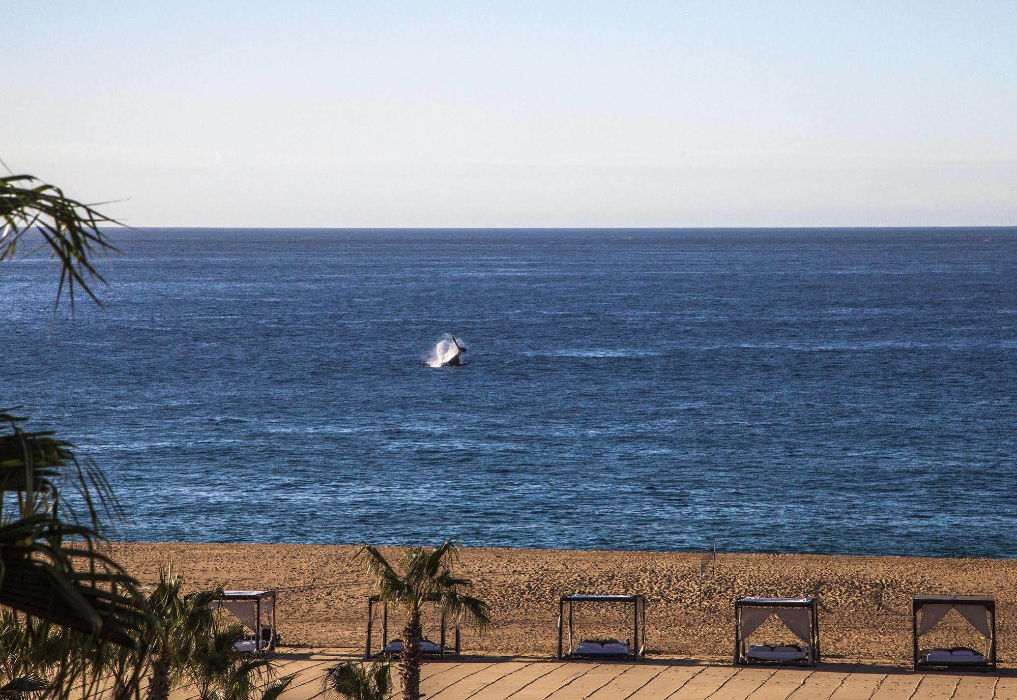 The Towers At Pueblo Bonito Pacifica (Adults Only) Hotel Cabo San Lucas Exterior photo